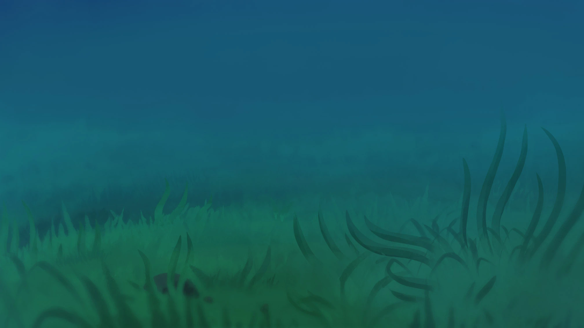 Flotte Mouton background